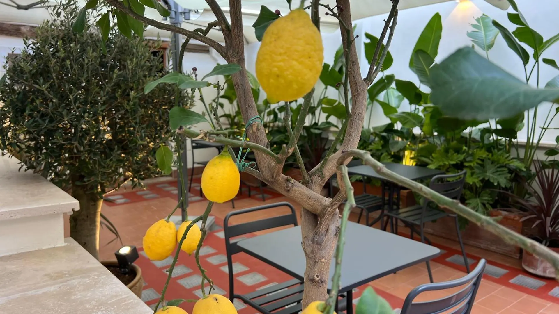 Hotel Affreschi Al Pantheon Roma
